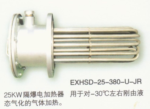 浸入式隔爆加熱器